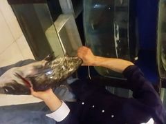 android_upload_pic-永安鱼庄·镇江菜(东吴路店)