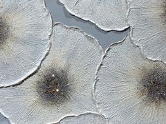 -第六空间国际家居(旺墩路店)