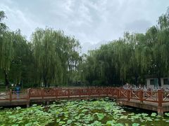 -丰台科技园生态主题公园