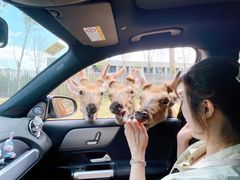 -南京金牛湖风景区