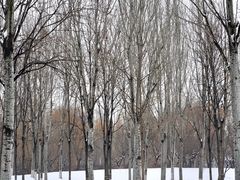 -秀水公园