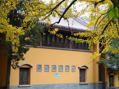 -灵谷景区