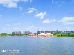 -上海长兴岛郊野公园