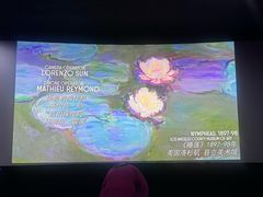 -华美影城(马栏广场店)