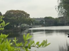 -范蠡湖公园