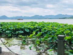 -知味观(湖滨总店)