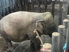 -济南野生动物世界