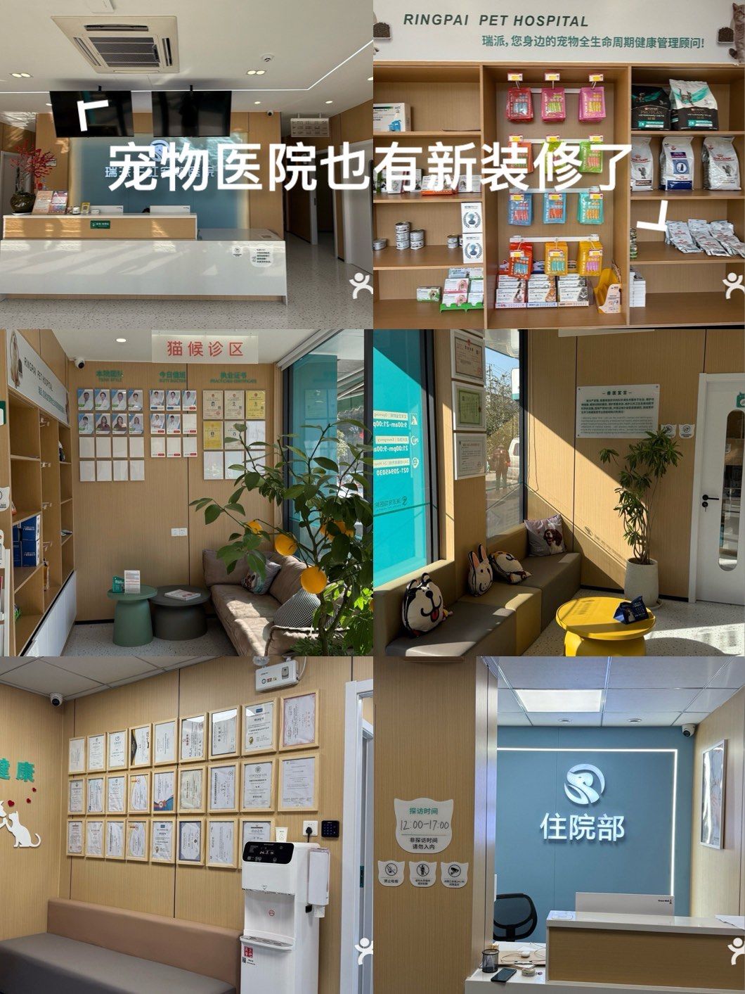 宠物医院也有新装修了