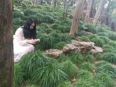 -秋霞圃