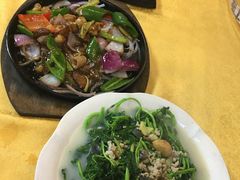 -鸽王世家(东华东路店)
