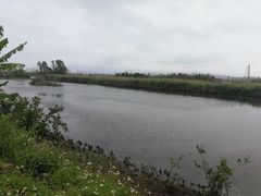 -芒洲湿地公园