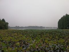 -东湖落雁景区