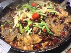 -老板恋上鱼(恒隆广场店)