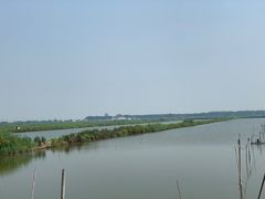 -大湾区中央湿地公园-十九涌