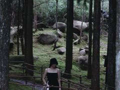 -玉苍山国家森林公园