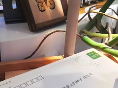 -一尺花园(安和花园店)