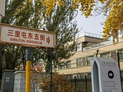 -三里屯东五街银杏大道