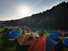 -武陵山森林公园