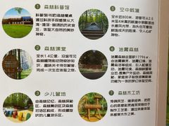 -黄海国家森林公园