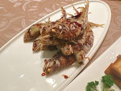 -东方明珠老上海8号餐厅(东方明珠广播电视塔店)