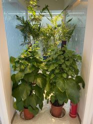 -西美医疗美容门诊部