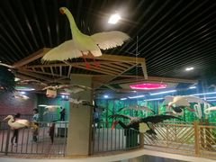 -黄海国家森林公园