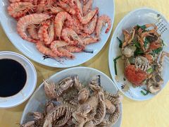 -大湾区中央湿地公园-十九涌
