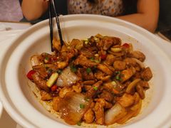 -刘胖子家常菜·蹄花焖藕(中南店)