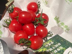 -季季山·云南野生菌火锅(上海首店)