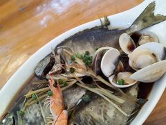 -北海金海湾红树林生态旅游区