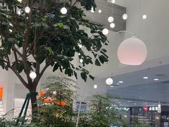 -大树餐厅(红旗街万达店)
