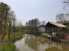 -东平国家森林公园