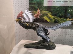 -辽宁古生物博物馆