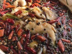 -南山鲜虾面·活鲜小馆·海味大连菜(南山总店)