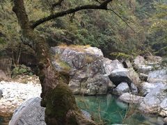 -石台牯牛降景区