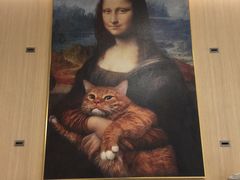 -飞行喵MR PILOT|猫舍·猫咖(静安大融城店)