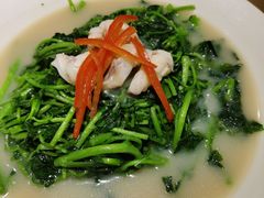 乳香鲜鱿西洋菜-稻香酒家·33年老字号·港式粤菜(富邦中心店)