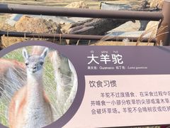 -武汉动物园
