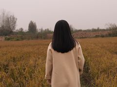 -林间山庄