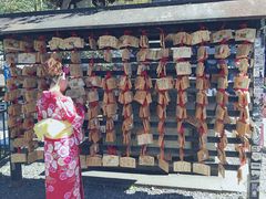 -有栖山 清光院 清水寺