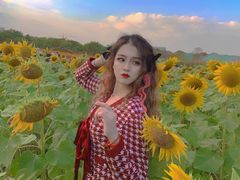 -映月湖中央公园