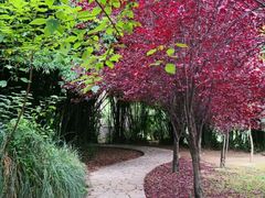 -贵阳市花溪国家城市湿地公园