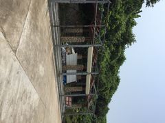 iphone_upload_pic-东澳岛