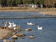 -同济大学(嘉定校区)