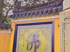 -普陀山慧济禅寺