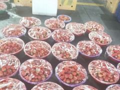 -江杨农产品批发市场