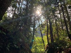 -武夷山风景名胜区-虎啸岩