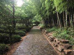 -九龙潭景区