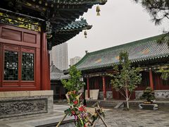 -迎泽公园