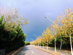 -养马岛旅游度假区